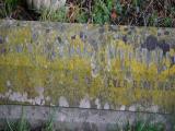 image of grave number 914389